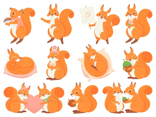 Free Vector cute squirrel cartoon mascot