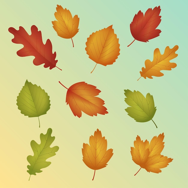 Free Vector cute tree happy autumn