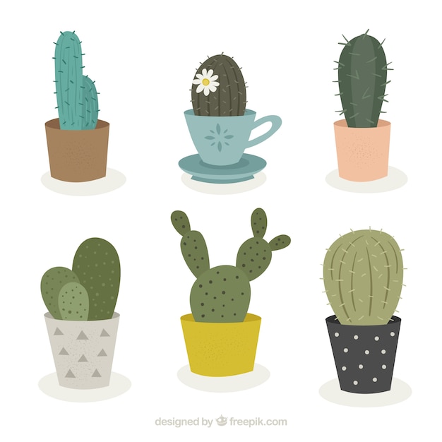 Free Vector cute variety of original cactus