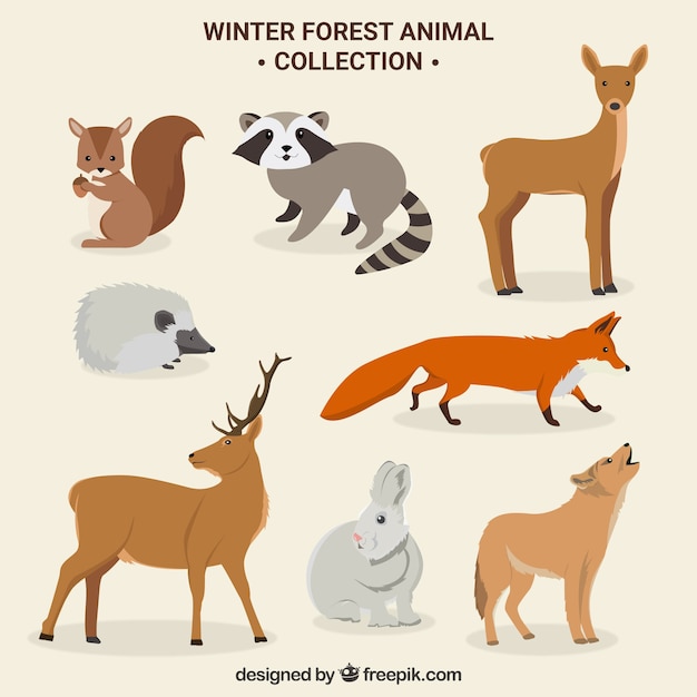 Free Vector cute winter forest animals set