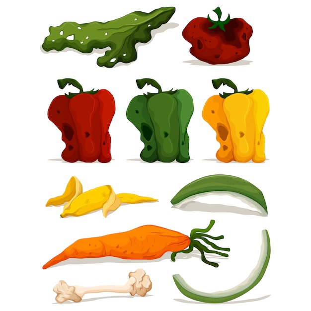 Free Vector descomposed vegetables collection