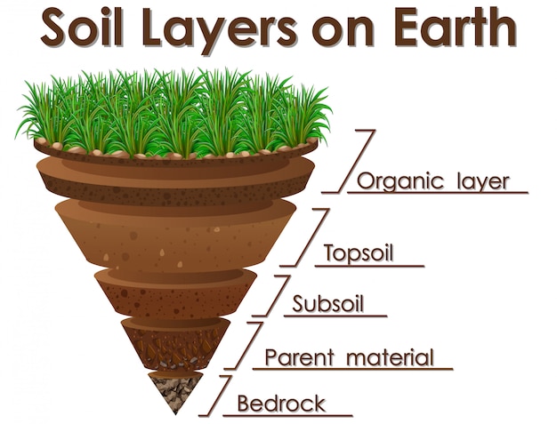 Free Vector diagram showing soil layers on earth