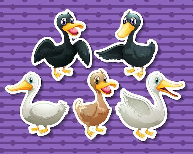 Free Vector different color of ducks