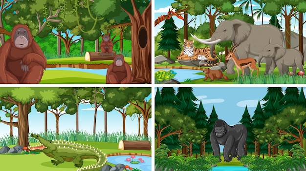 Free vector different forest scenes with wild animals