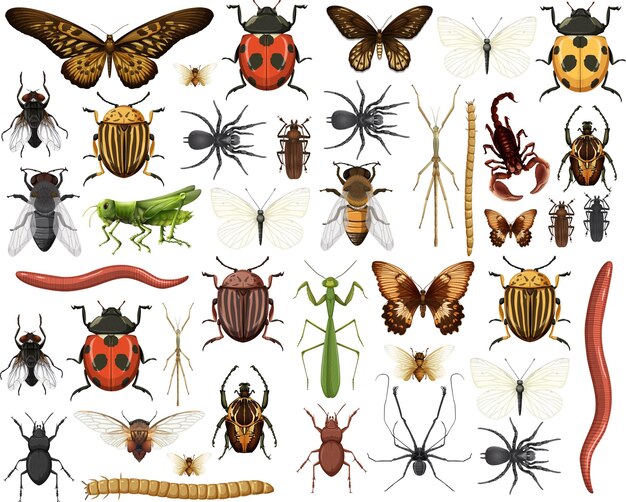 Different insects collection isolated on white background