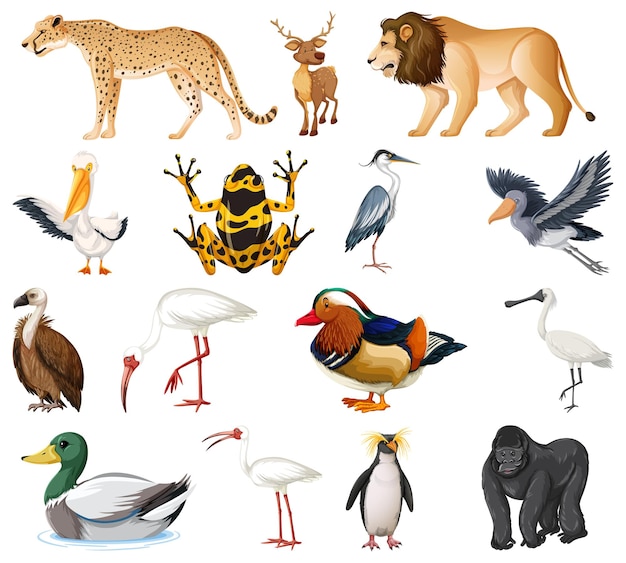 Free Vector different kinds of animals collection