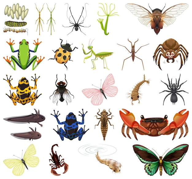 Free Vector different kinds of insects and animals on white background