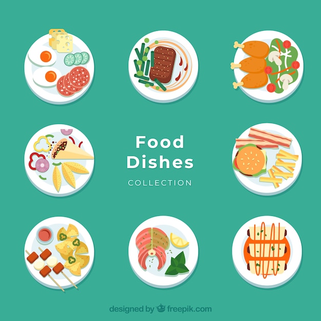 Free Vector dishes collection with different food