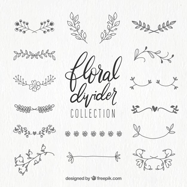 Dividers collection with floral ornaments