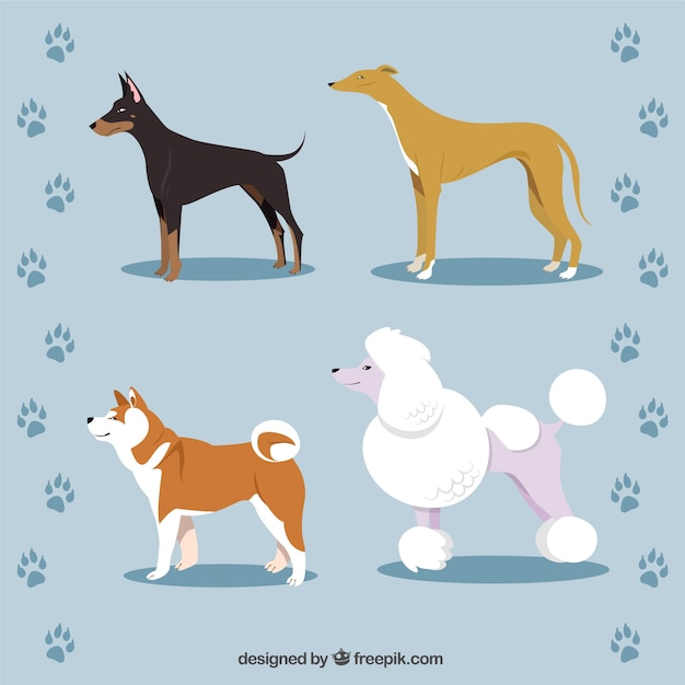 Free Vector dog breeds