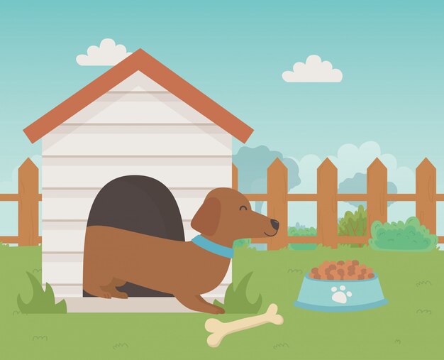 Dog cartoon design vector illustrator