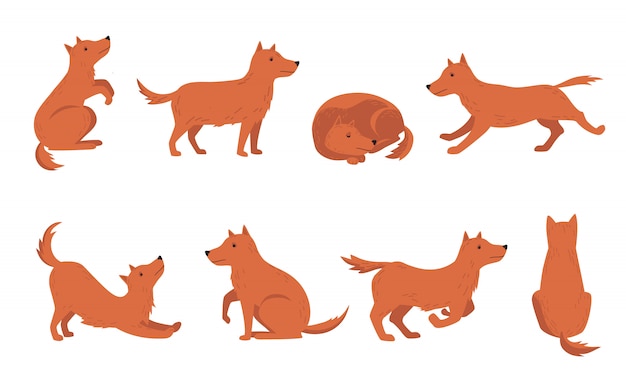 Free Vector dog different activities set