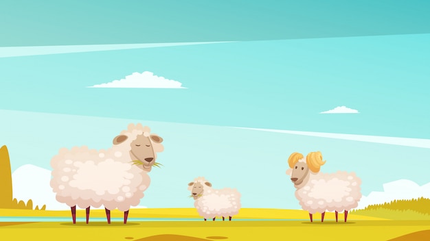 Free vector domestic sheep breeding and raising farm pasture