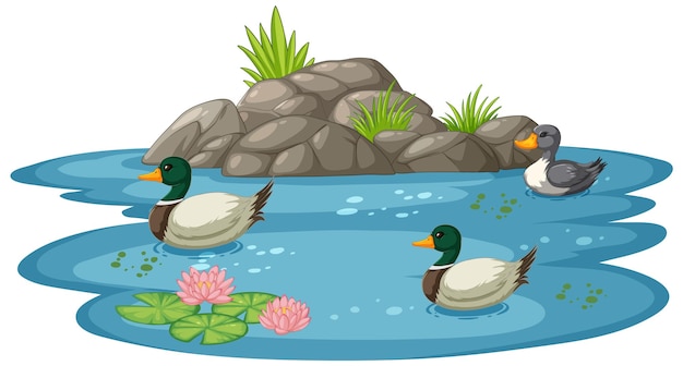 Free Vector ducks enjoying a peaceful pond scene