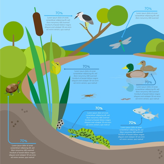 Free Vector ecosystem background infographic with animals in habitat