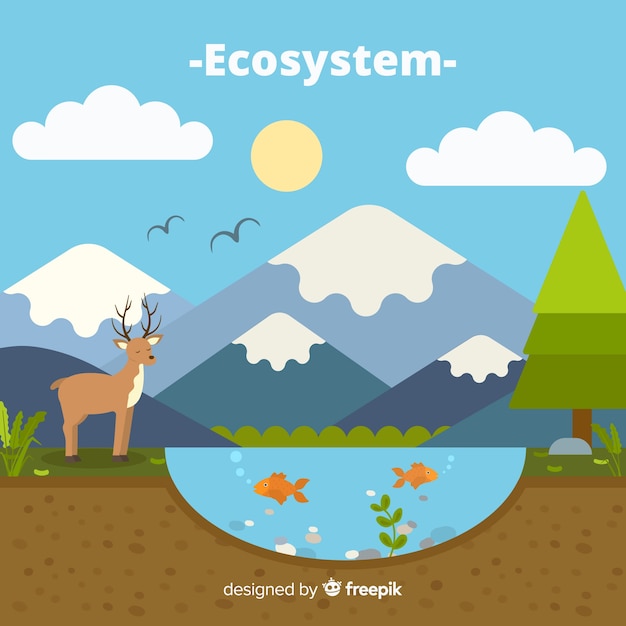 Free Vector ecosystem background