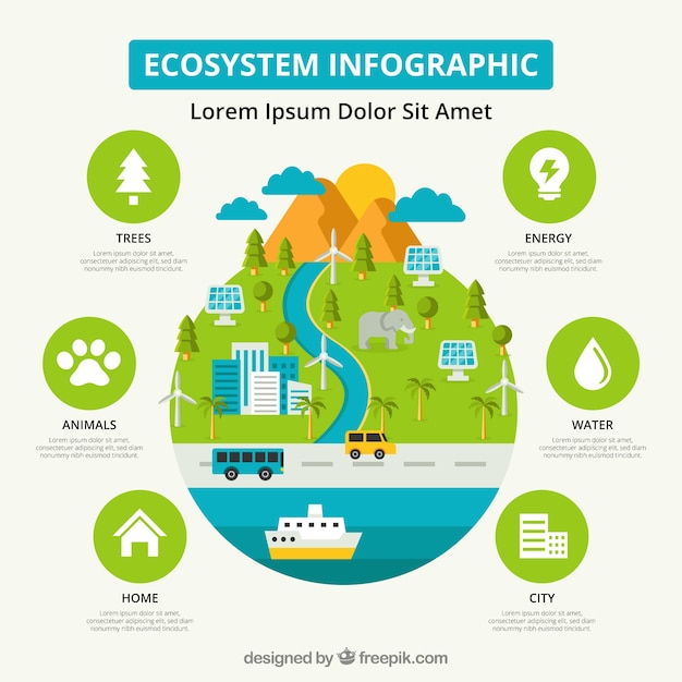 Free vector ecosystem infographics