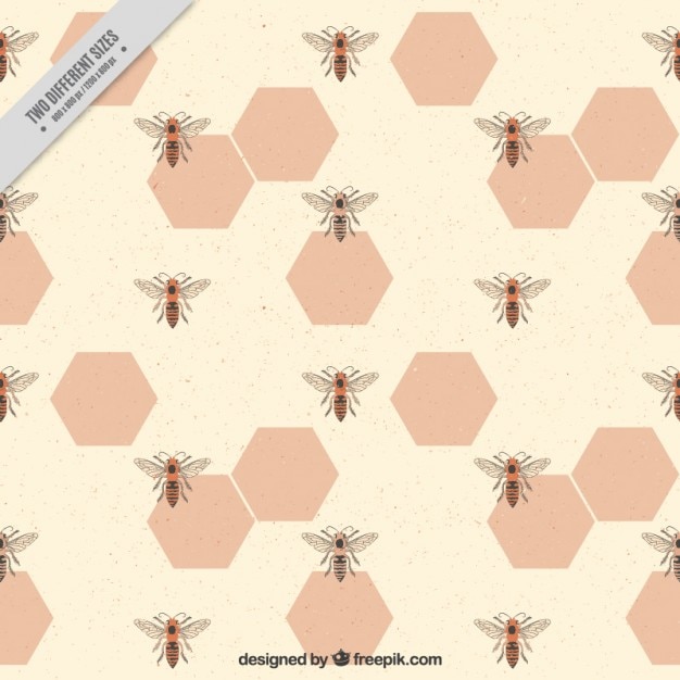 Free Vector elegant honey background  