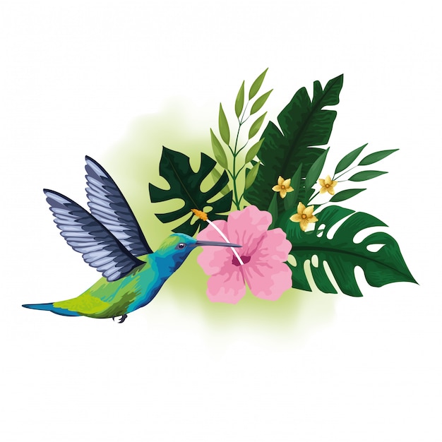 Exotic bird and tropical flowers drawing