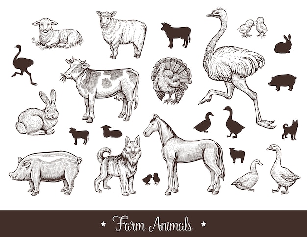 Free Vector farm animals vintage set 