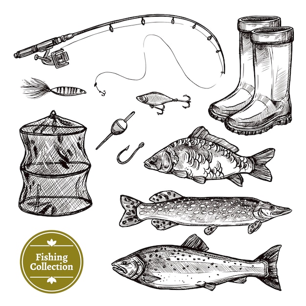 Free Vector fishing sketch set