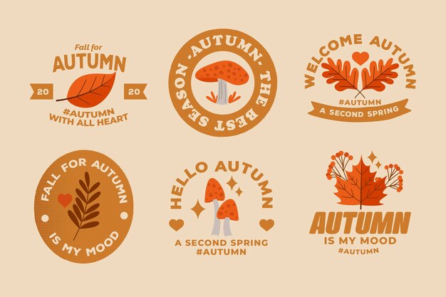 Flat autumn badge collection