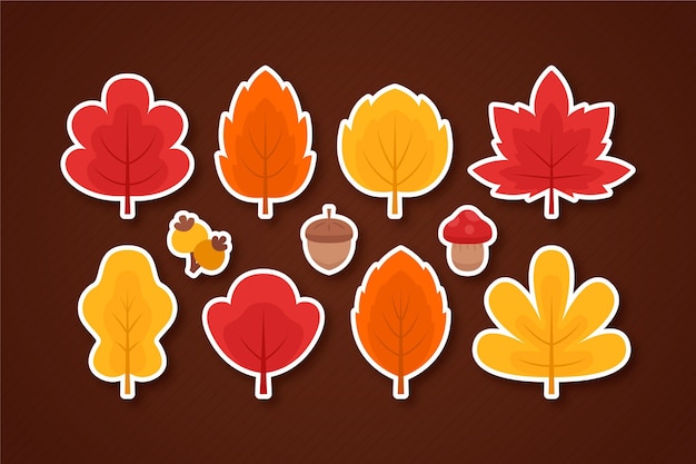 Flat autumn leaves collection