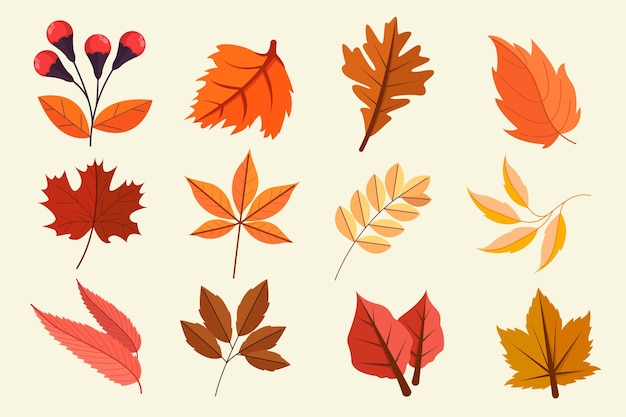 Free vector flat autumn leaves collection