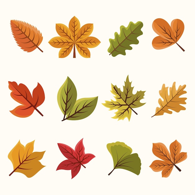 Free Vector flat autumn leaves collection