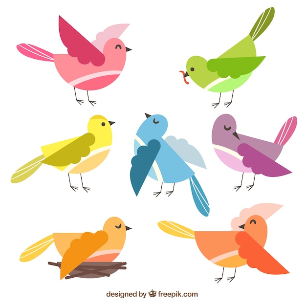 Free Vector flat bird collection