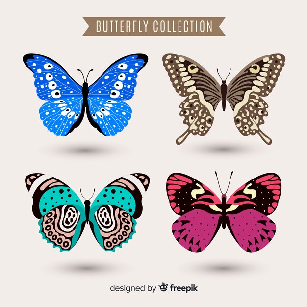 Flat butterfly collection