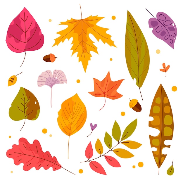 Flat design autumn leaves collection