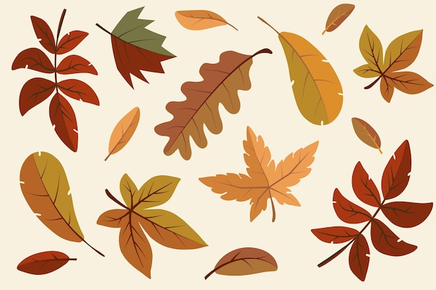 Flat design autumn leaves collection