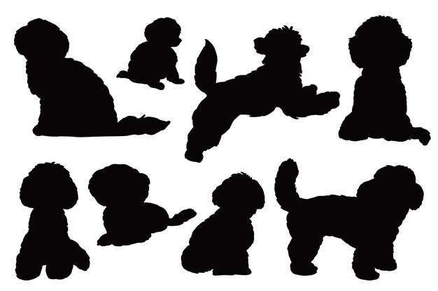 Flat design poodle silhouette set