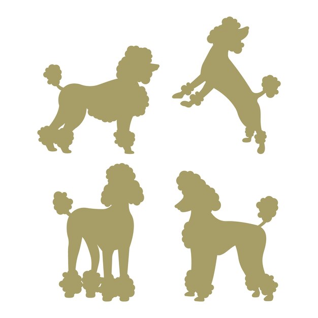 Flat design poodle silhouette