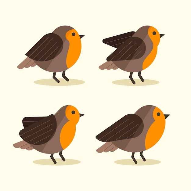 Free Vector flat design of robin collection