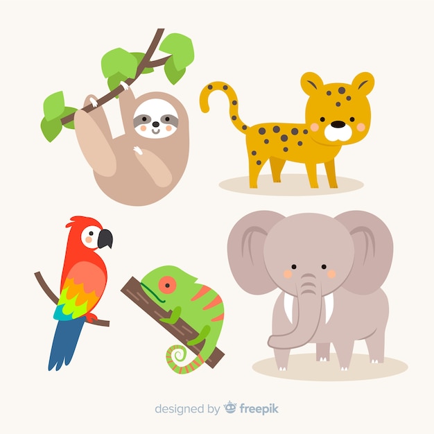 Free Vector flat design tropical animal collection