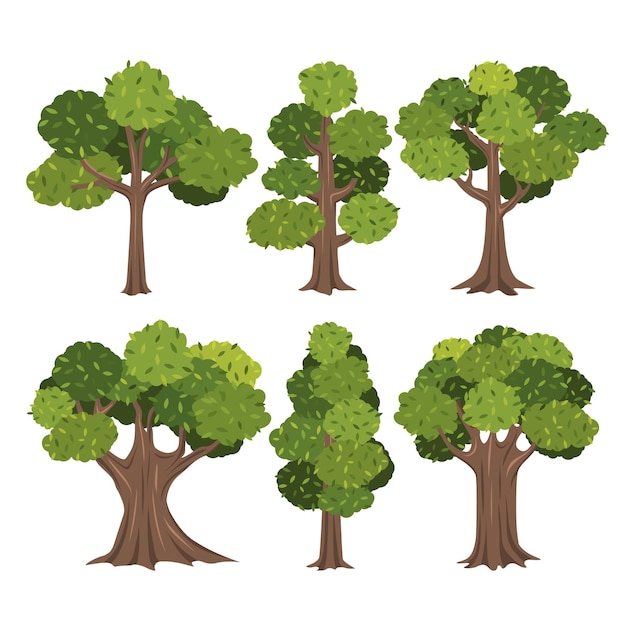 Free Vector flat design of  type of trees