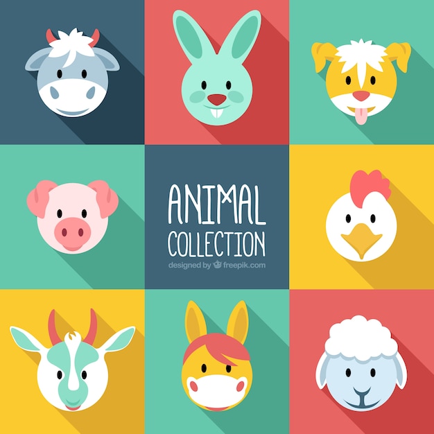 Free Vector flat farm animal collection