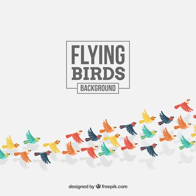 Free Vector flat flying bird background