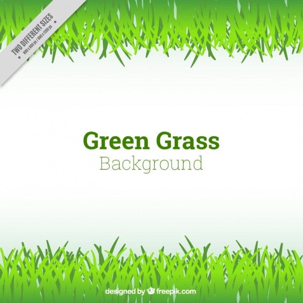 Free Vector flat green grass background