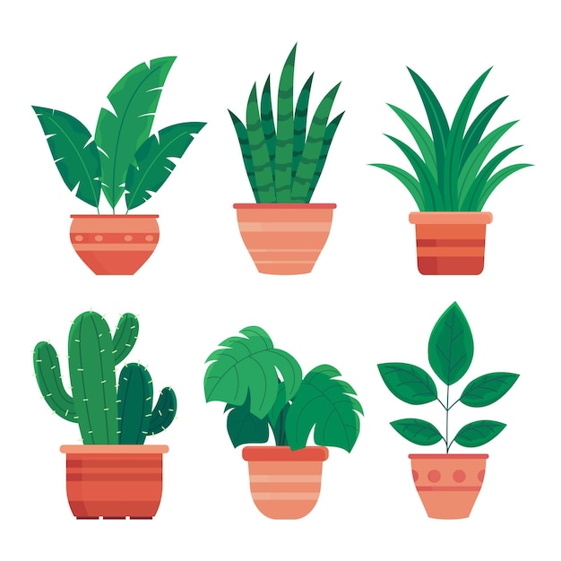 Free Vector flat houseplant collection