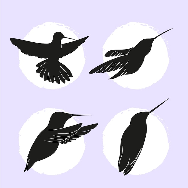 Flat hummingbird silhouettes collection