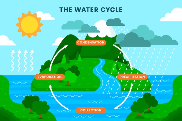 Flat illustration of water cycle