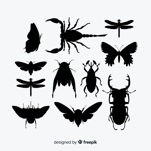 Flat insect silhouettes collection