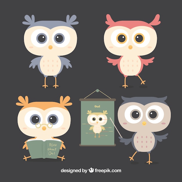 Free Vector flat owl collection