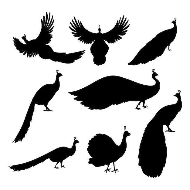 Free vector flat peacock silhouettes collection