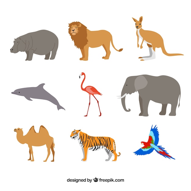Free vector flat set of wild animals