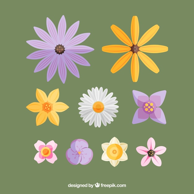 Free Vector flat spring flower collection