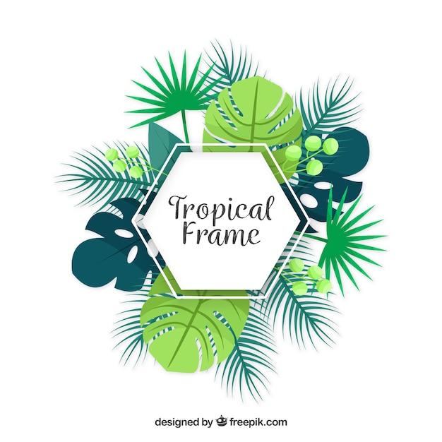 Free Vector flat summer frame with tropical leaves